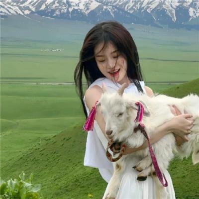 加油二师兄海报